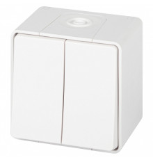 Выключатель двухклавишный Эра Эра Эксперт 11-1504-01