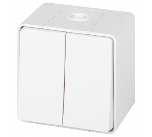 Выключатель двухклавишный Эра Эра Эксперт 11-1504-01