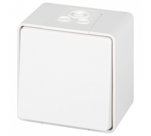 Переключатель одноклавишный Эра Эра Эксперт 11-1503-01