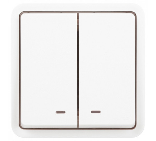 Выключатель двухклавишный с подсветкой Эра Эра Эксперт 11-1525-01