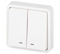 Выключатель двухклавишный с подсветкой Эра Эра Эксперт 11-1525-01