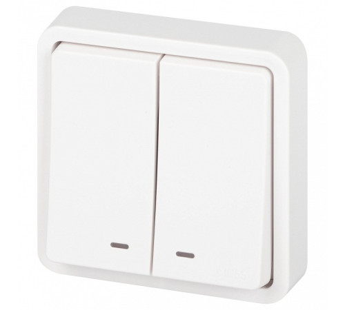 Выключатель двухклавишный с подсветкой Эра Эра Эксперт 11-1525-01