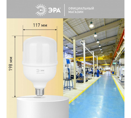 Лампа светодиодная Эра LED POWER T120-60W-4000-E27/E40 R