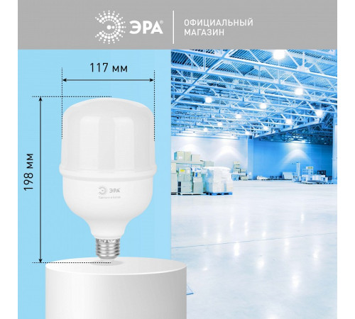 Лампа светодиодная Эра E27, E40 60Вт 6500K LED POWER T120-60W-6500-E27/E40 R