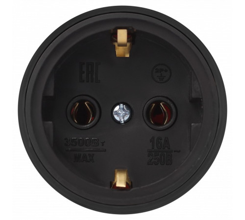 Розетка с заземлением Эра RX11-B-IP44