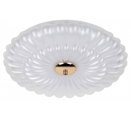 Накладной светильник Эра SPB-6 Chester 48W-5K WH+GD