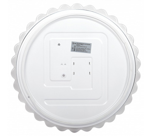 Накладной светильник Эра SPB-6 Chester 48W-5K WH+GD