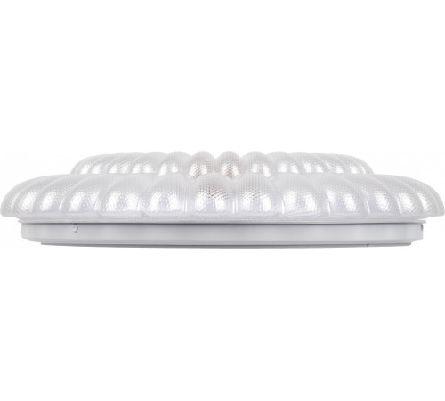 Накладной светильник Эра SPB-6 Chester 48W-5K WH+GD