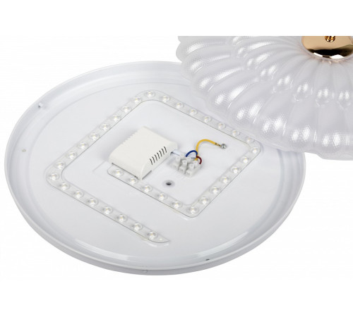 Накладной светильник Эра SPB-6 Chester 48W-5K WH+GD