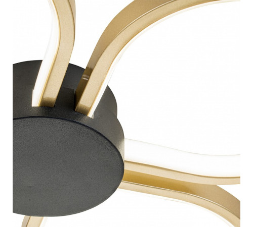 Потолочная люстра Escada Clover 10243/4LED