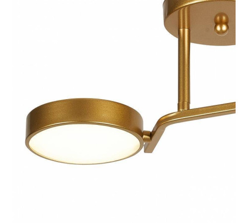 Светильник на штанге Escada Starlight 10273/2LED