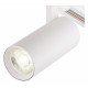 Светильник на штанге Escada 20002 20002TRA/03LED SWH