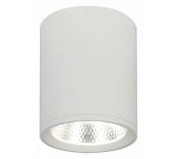 Накладной светильник Escada 20003 20003SMU/02LED SWH