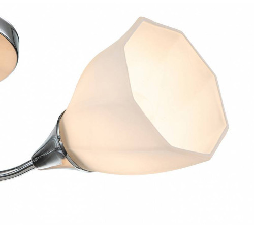 Потолочная люстра Escada Camellia 664/3P