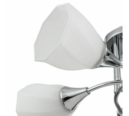 Потолочная люстра Escada Camellia 664/5P