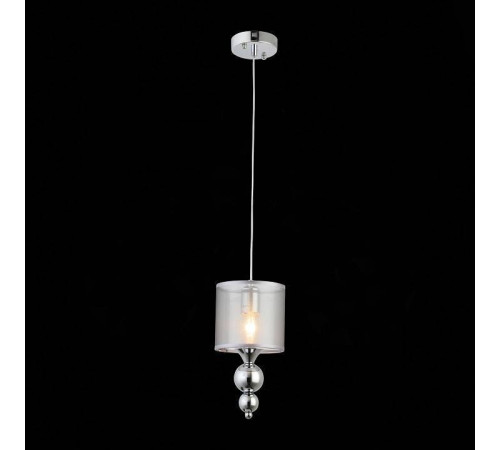 Подвесной светильник Evoluce Pazione 1 лампа SLE107103-01