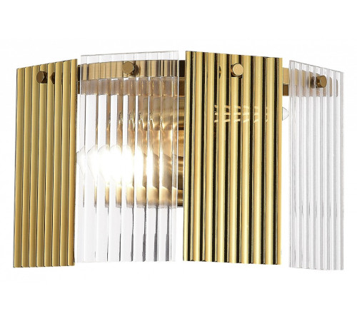 Накладной светильник EVOLUCE Tresa SLE1123-301-02