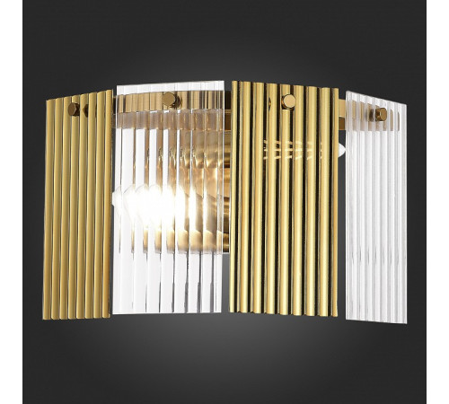 Накладной светильник EVOLUCE Tresa SLE1123-301-02