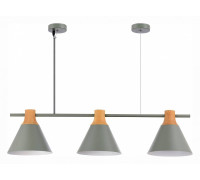 Подвесной светильник EVOLUCE Modica SLE125113-03