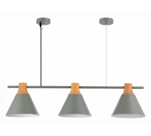 Подвесной светильник EVOLUCE Modica SLE125113-03