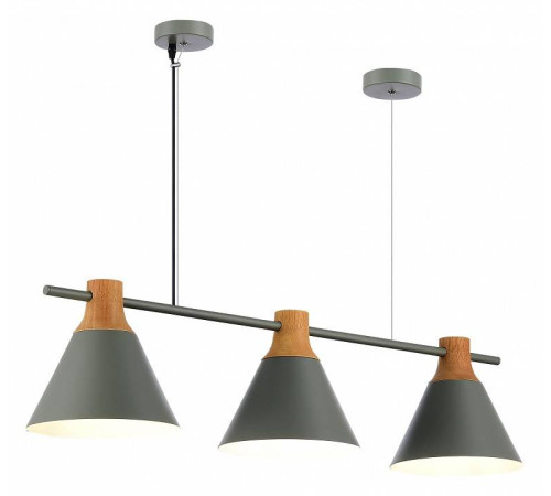 Подвесной светильник EVOLUCE Modica SLE125113-03