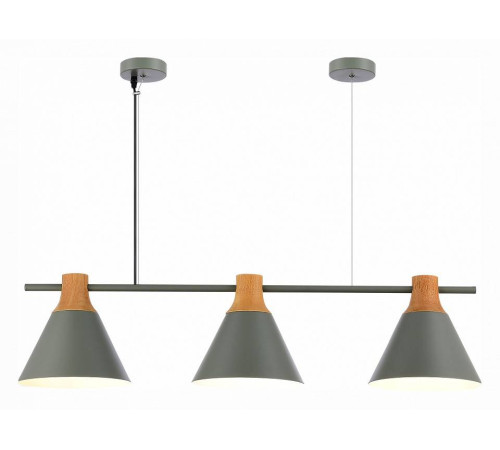 Подвесной светильник EVOLUCE Modica SLE125113-03