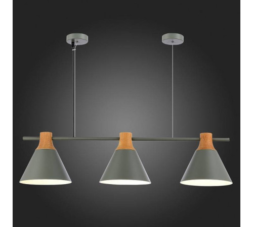 Подвесной светильник EVOLUCE Modica SLE125113-03