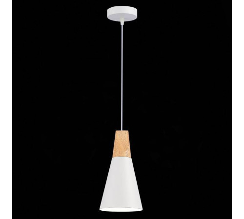Подвесной светильник EVOLUCE Modica SLE125153-01