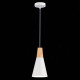 Подвесной светильник EVOLUCE Modica SLE125153-01