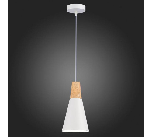 Подвесной светильник EVOLUCE Modica SLE125153-01