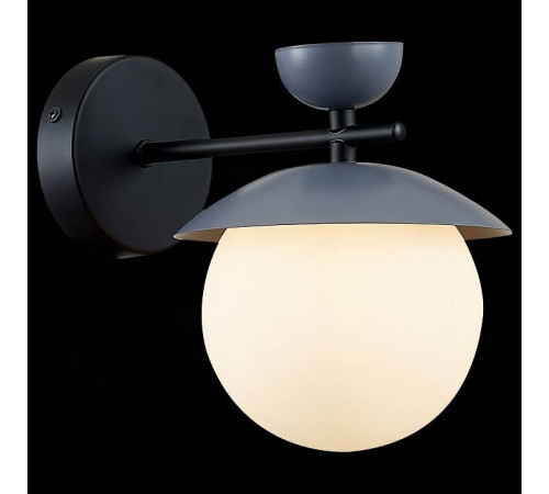 Бра EVOLUCE Genova SLE220201-01