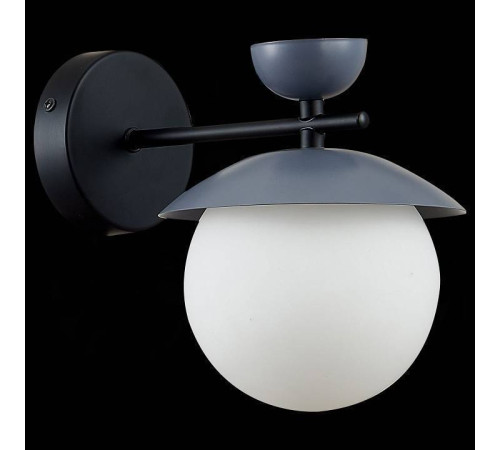 Бра EVOLUCE Genova SLE220201-01