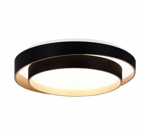 Накладной светильник EVOLUCE Crosby SLE6009-402-01