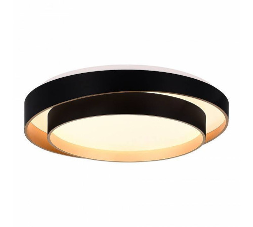 Накладной светильник EVOLUCE Crosby SLE6009-402-01