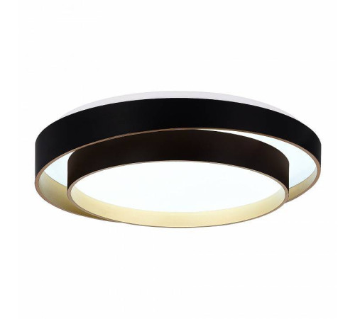 Накладной светильник EVOLUCE Crosby SLE6009-402-01