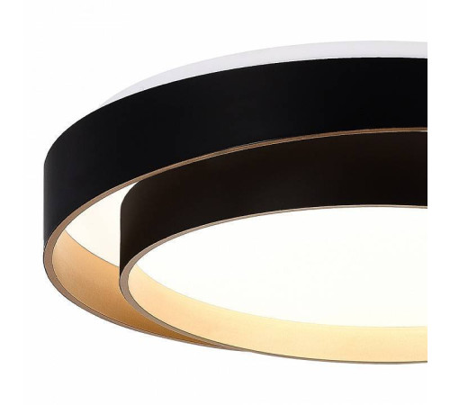Накладной светильник EVOLUCE Crosby SLE6009-402-01