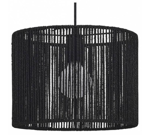 Подвесной светильник EVOLUCE ETTAN 1хE27 SLE6024-403-01