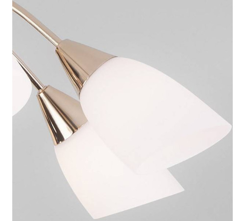 Люстра на штанге Eurosvet Ellene 30149/8 золото