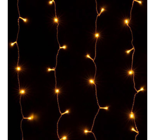 Занавес световой Eurosvet 200-001 200-001 теплый белый