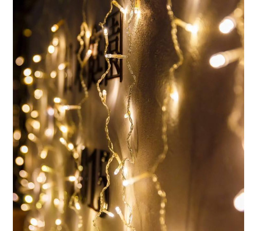 Занавес световой Eurosvet 200-001 200-001 теплый белый