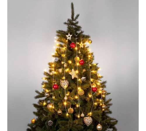 Занавес световой Eurosvet 200-001 200-001 теплый белый