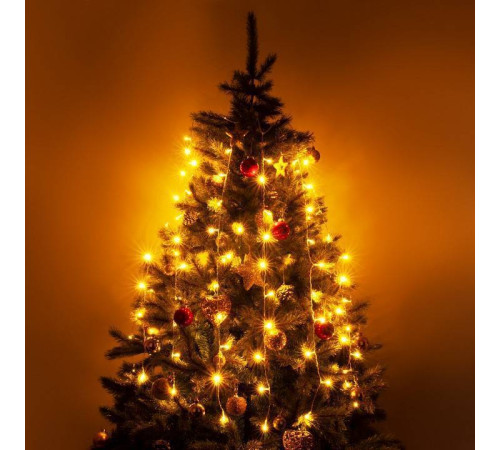 Занавес световой Eurosvet 200-001 200-001 теплый белый