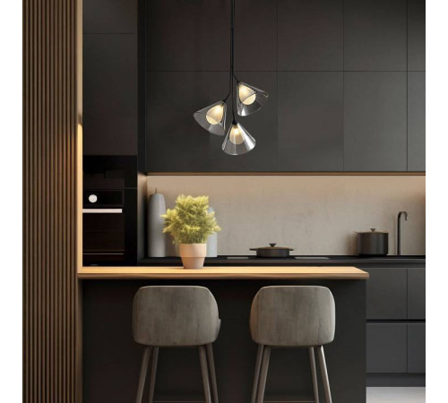 Подвесная люстра Eurosvet Enigma 70161/3 черный