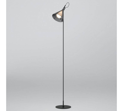 Торшер Eurosvet Enigma 01187/1 черный