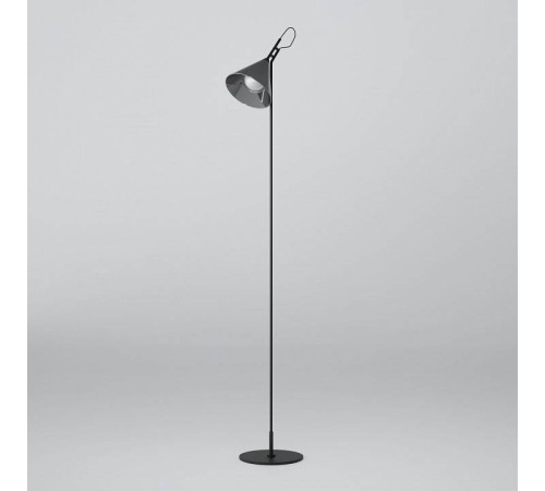 Торшер Eurosvet Enigma 01187/1 черный