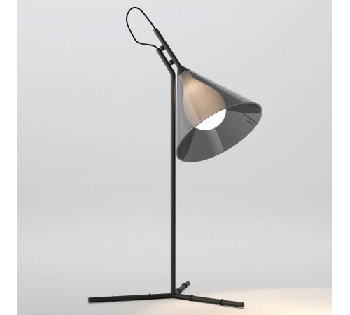 Настольная лампа декоративная Eurosvet Enigma 01186/1 черный