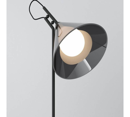 Настольная лампа декоративная Eurosvet Enigma 01186/1 черный