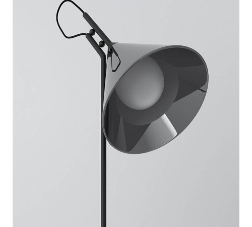 Настольная лампа декоративная Eurosvet Enigma 01186/1 черный