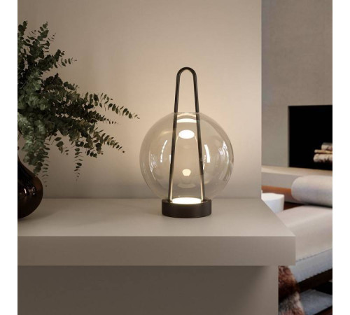Настольная лампа декоративная Eurosvet Frasco 80507/1 черный