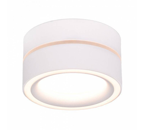 Накладной светильник Feron HL455 48752